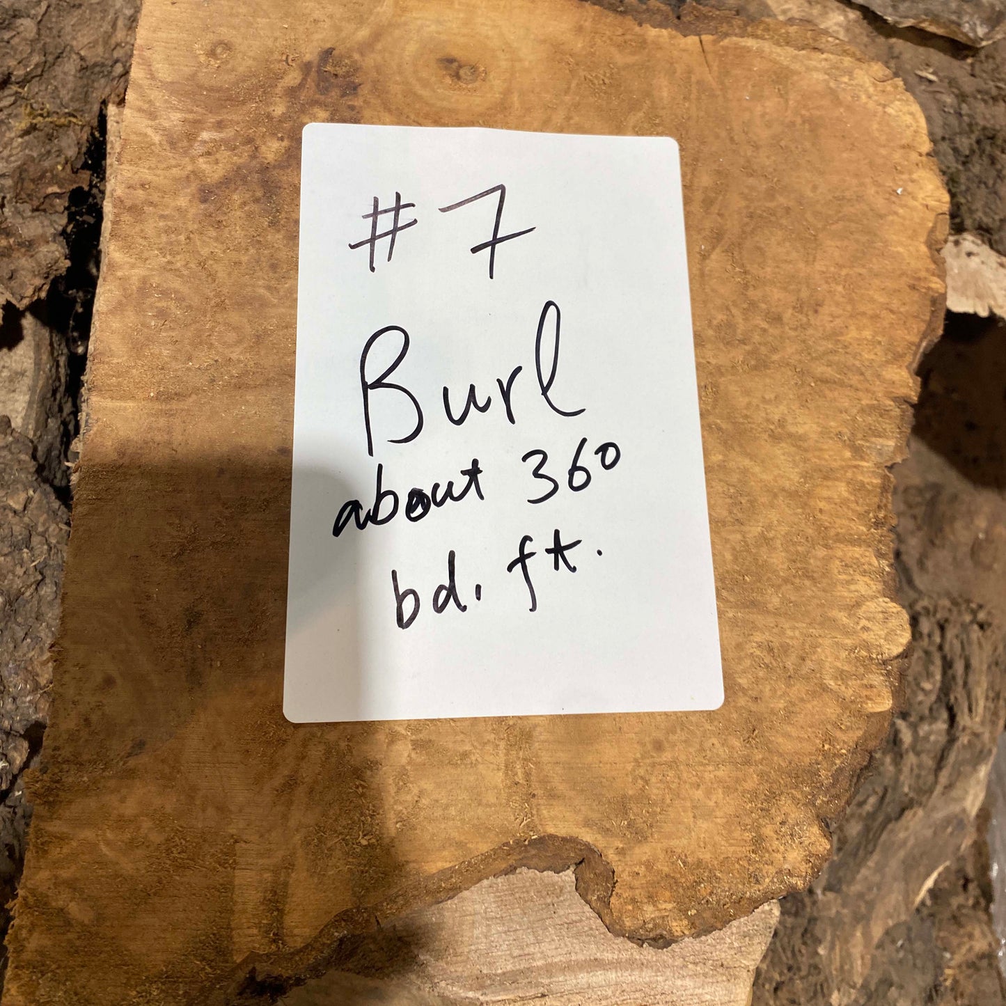 clearance #7 - Big Leaf Maple Burl and more