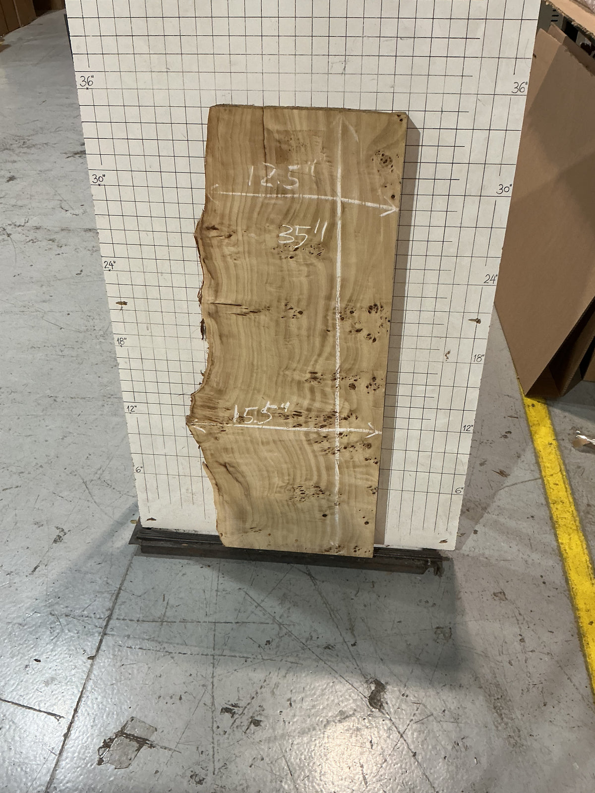 Maple live Edge #2C101