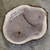 Black Walnut Round, #RD463, Only For Pick UP
