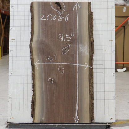 Black Walnut Live Edge #2C086