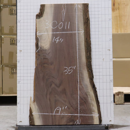 Black Walnut Live Edge #3C011