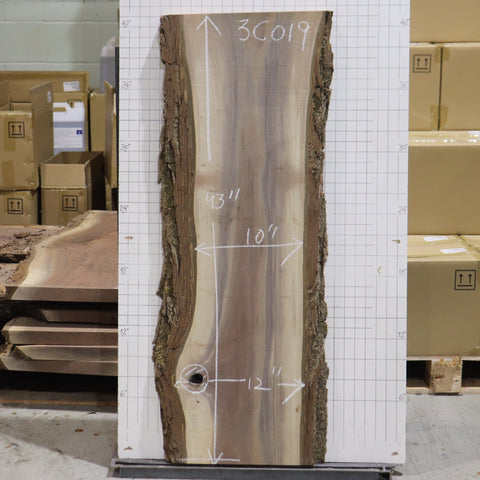 Black Walnut Live Edge #3C019