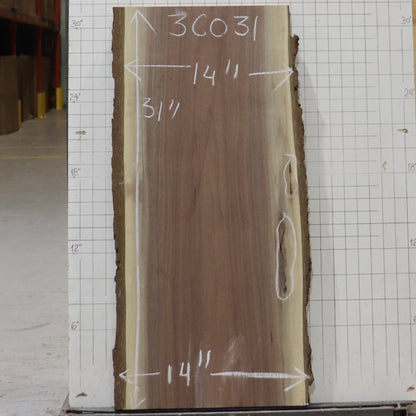 Black Walnut Live Edge #3C031