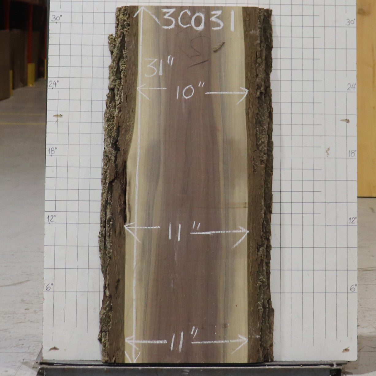 Black Walnut Live Edge #3C031