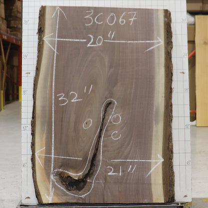 Black Walnut Live Edge #3C067