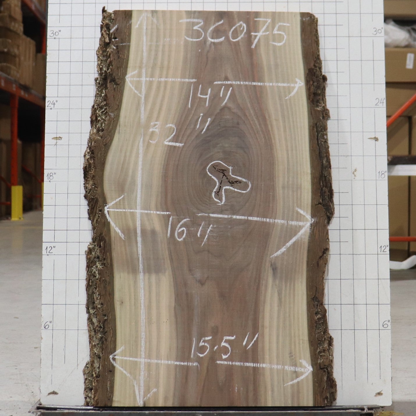 Black Walnut Live Edge #3C075