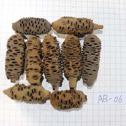 Australian Banksia Nut Pod, #AB06  8.2lbs