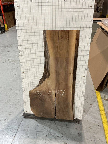 Black Walnut Live edge #2C047