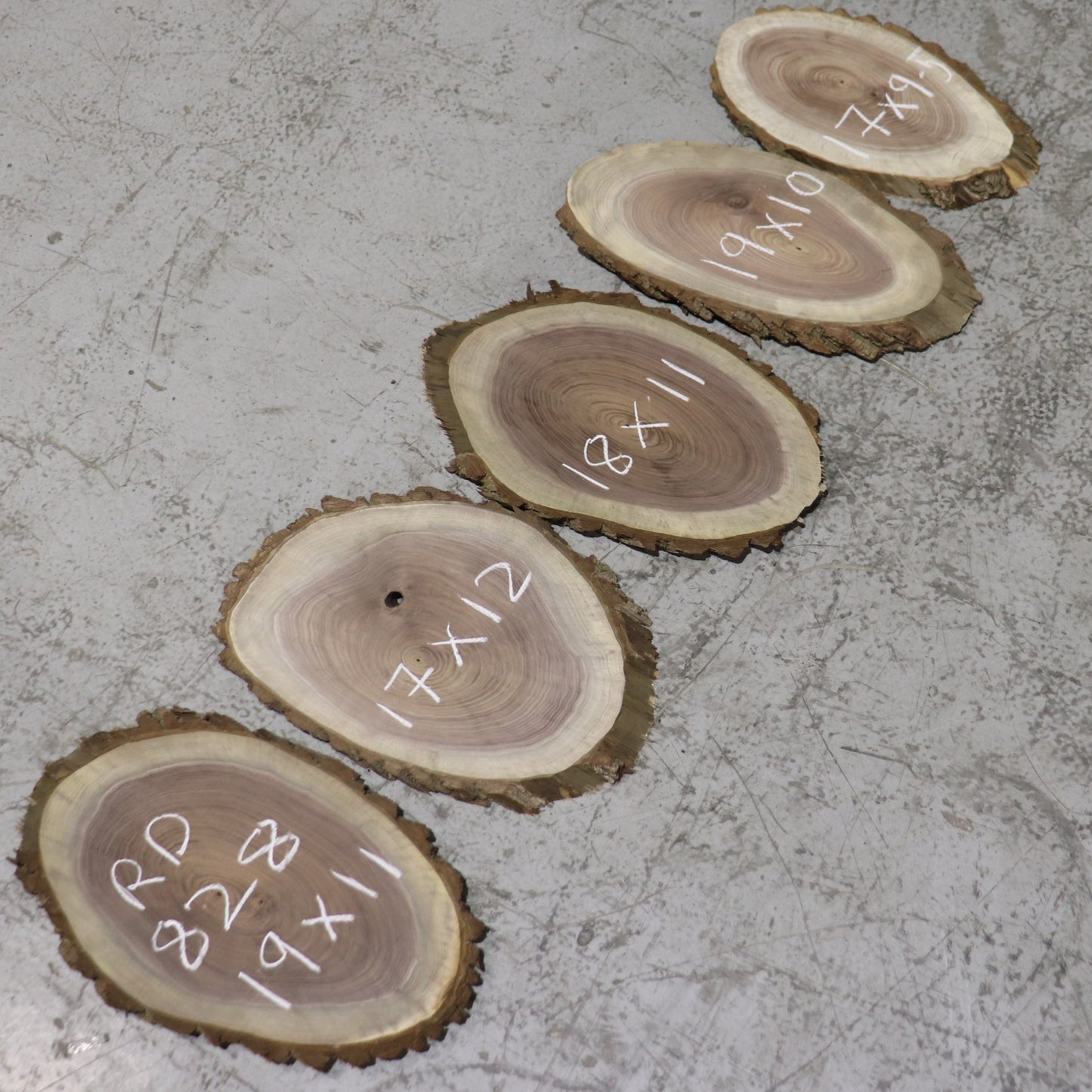 Black Walnut Ovals, #RD828, set/5