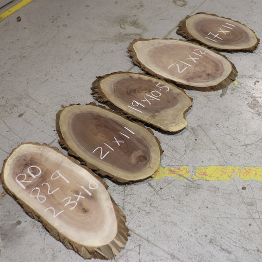 Black Walnut Ovals, #RD829, set/5