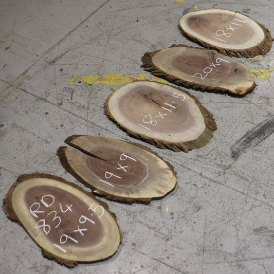 Black Walnut Ovals, #RD834, set/5