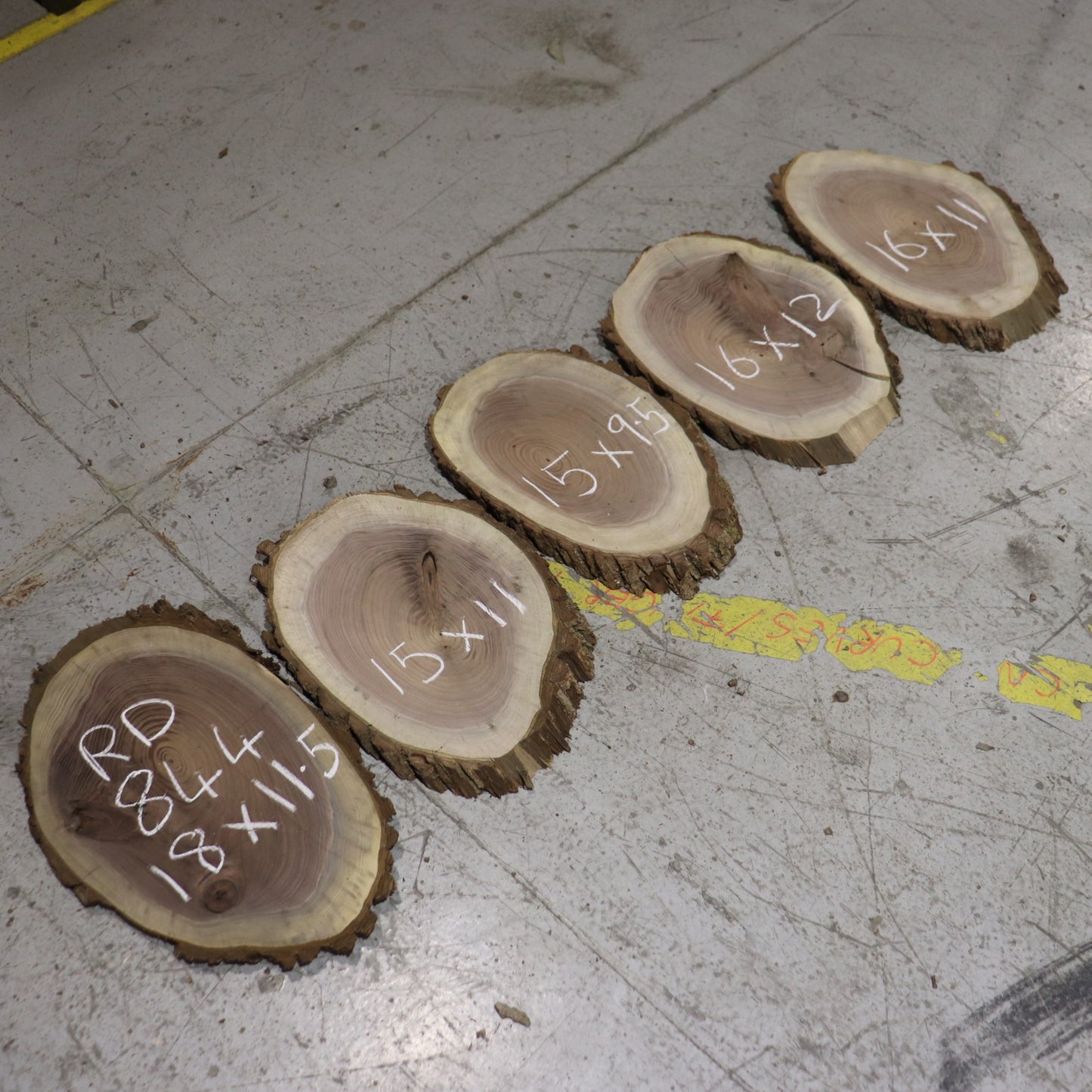 Black Walnut Ovals, #RD844, set/5