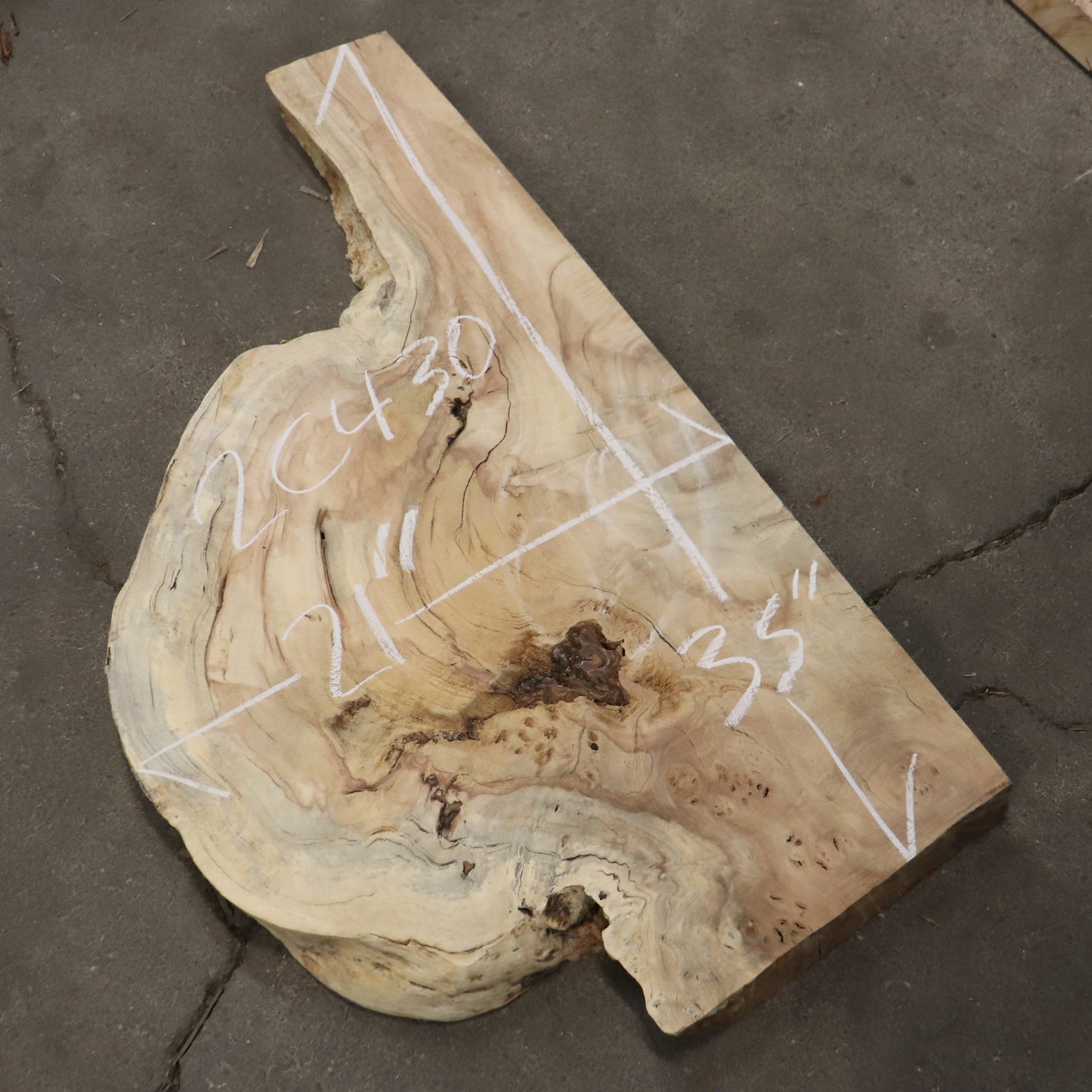 Indonesian Burl live edge Round  #2C430