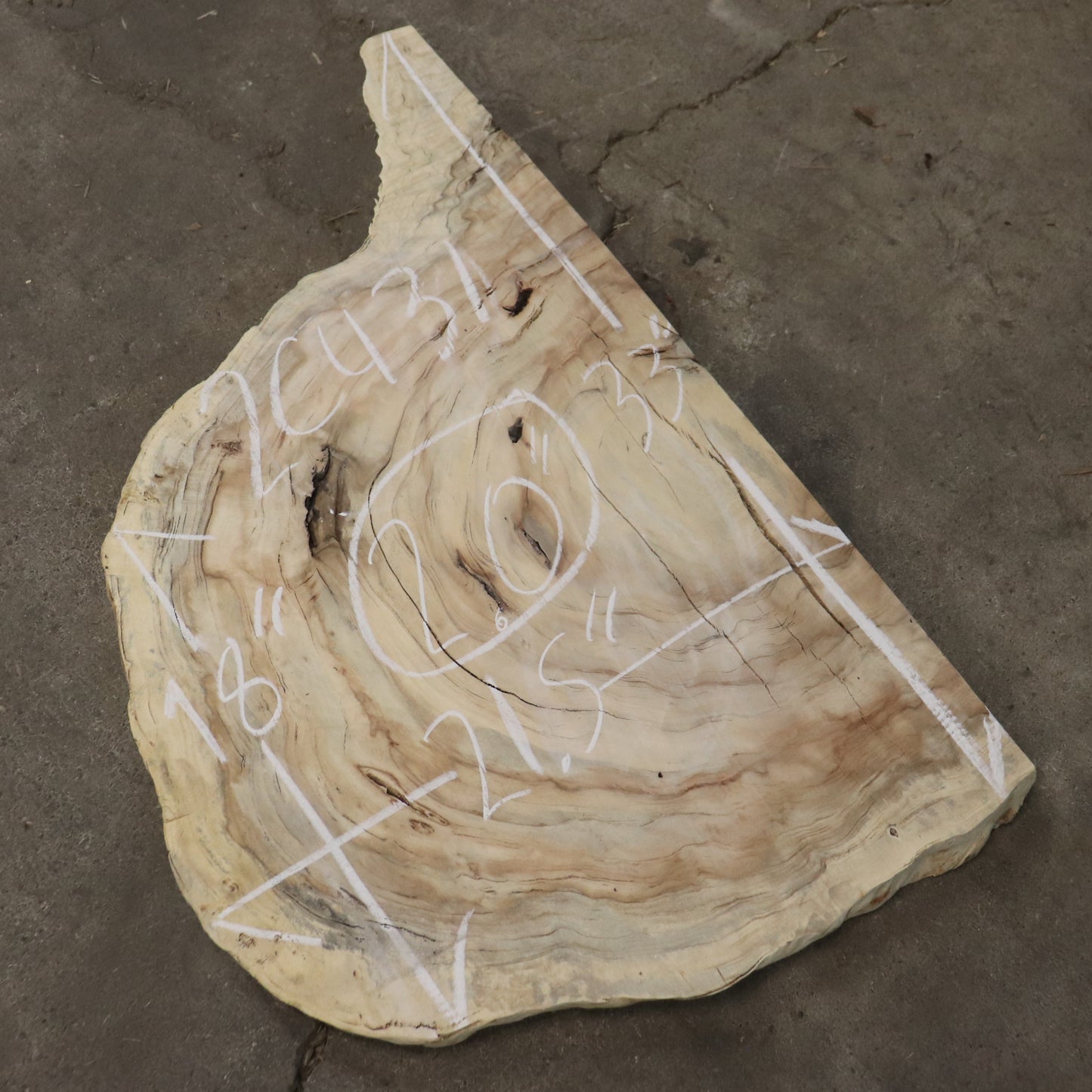 Indonesian Burl live edge Round  #2C431