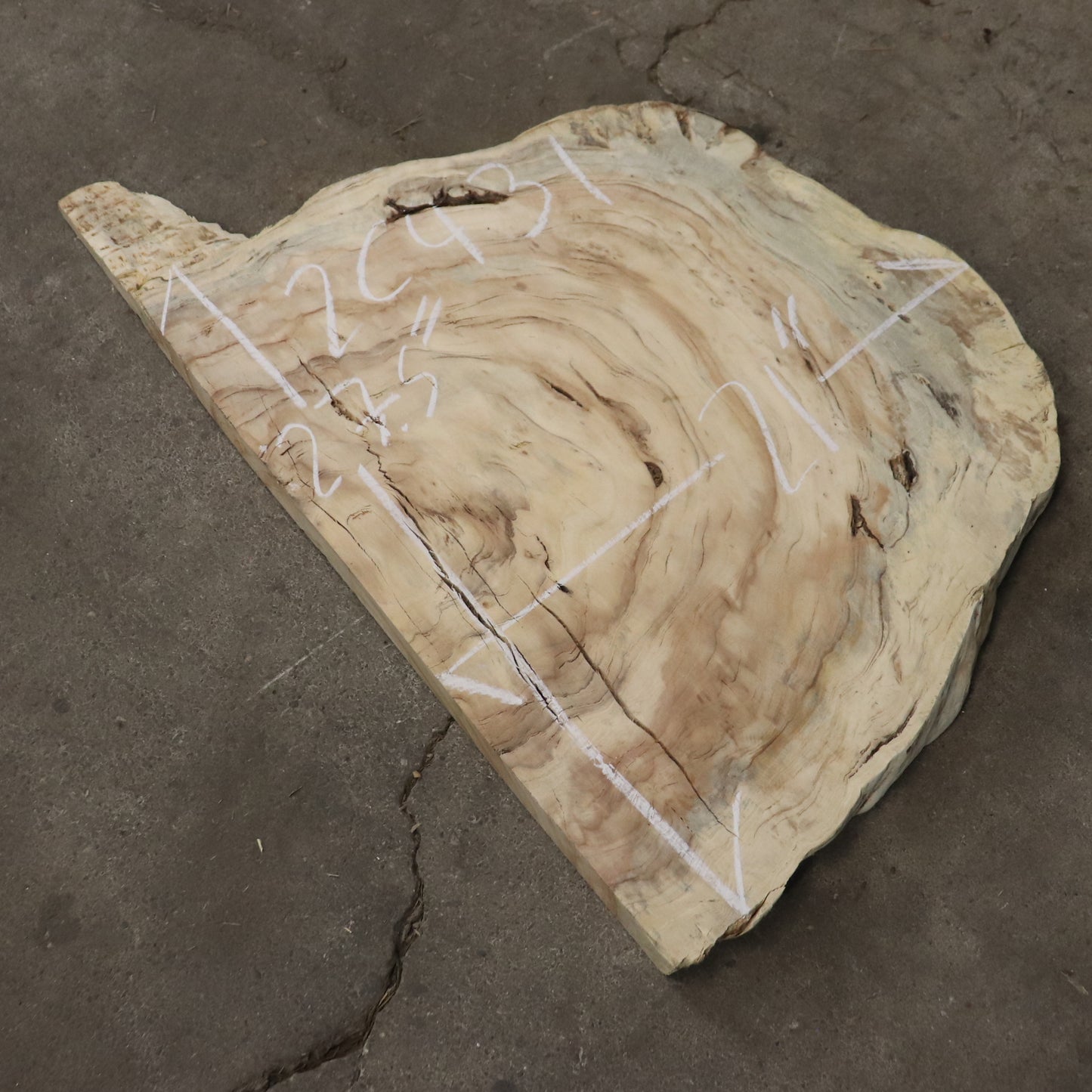 Indonesian Burl live edge Round  #2C431