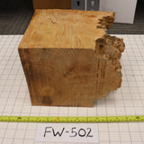 Figured Wood Maple Burl, # FW502, 9.2 Pounds.